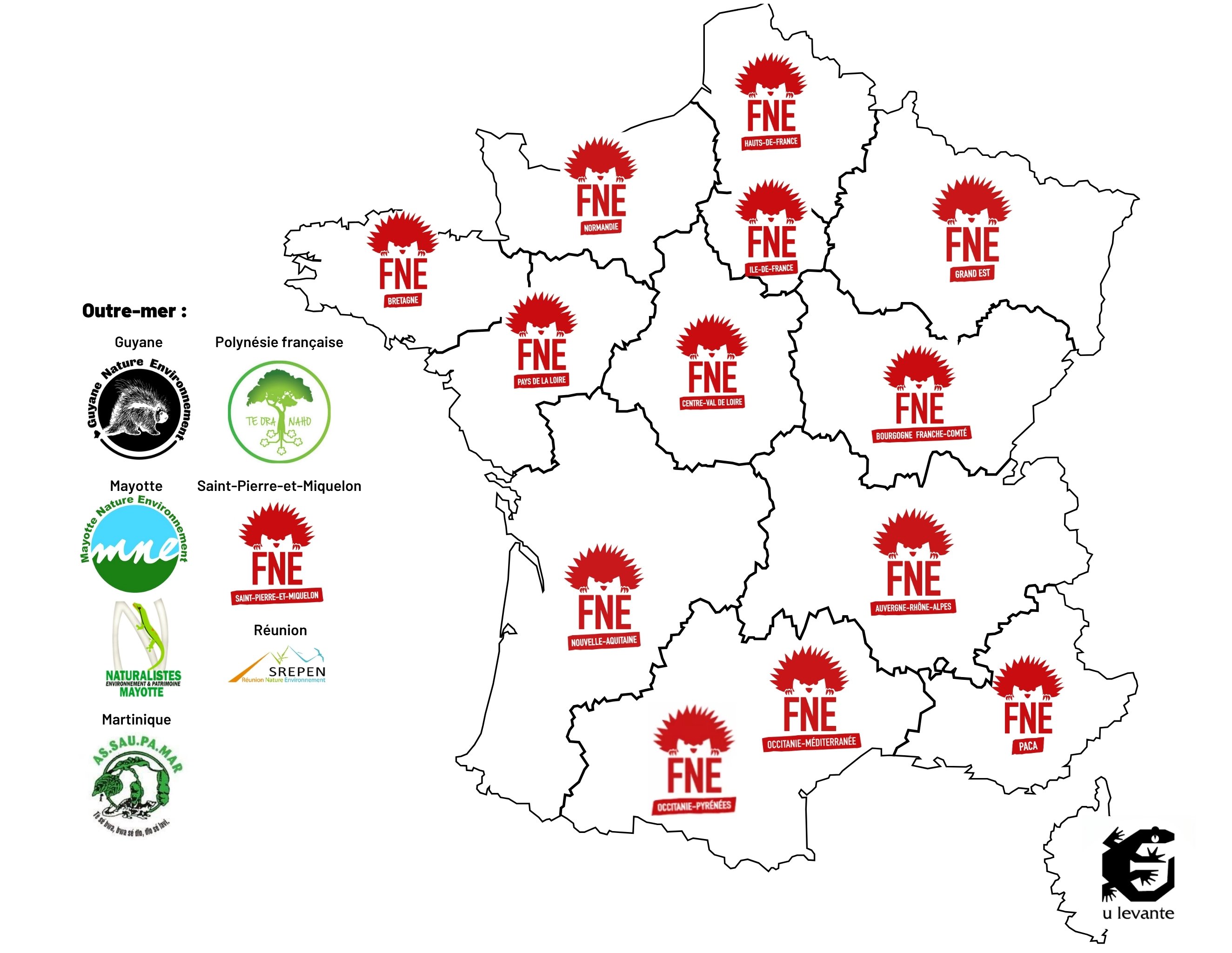 Carte des associations territoriales adhérentes à FNE