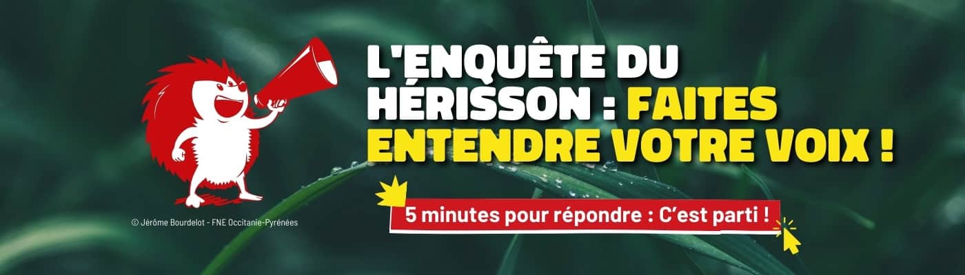 Répondez en 5 minutes à l'enquête du hérisson en cliquant ici
