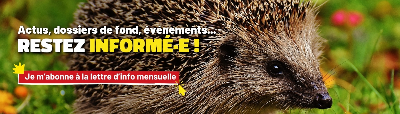 Cliquez ici pour vous inscrire à la newsletter et la recevoir