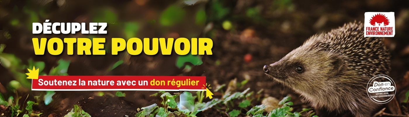 Cliquez-ici pour décupler votre pouvoir en faisant un don régulier à France Nature Environnement