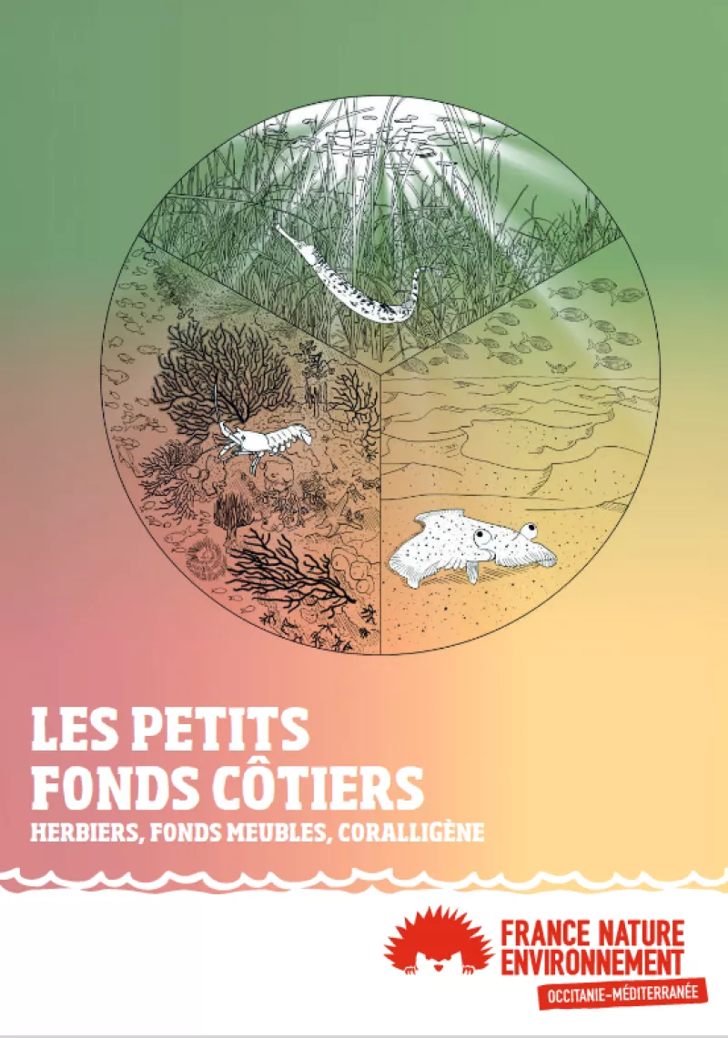 Les petits fonds côtiers de Méditerranée Aperçu du guide