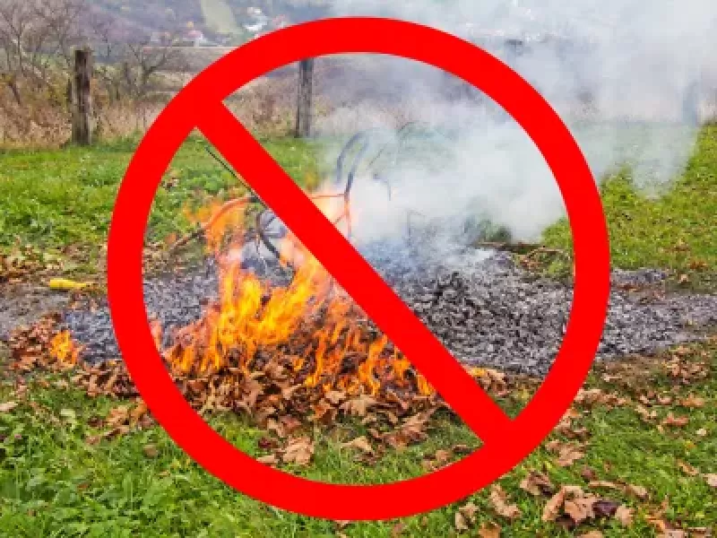 Branches d'arbres enflammées. Au premier plan, au dessus des végétaux enflammés, se trouve un pictogramme rouge signifiant l'interdiction.