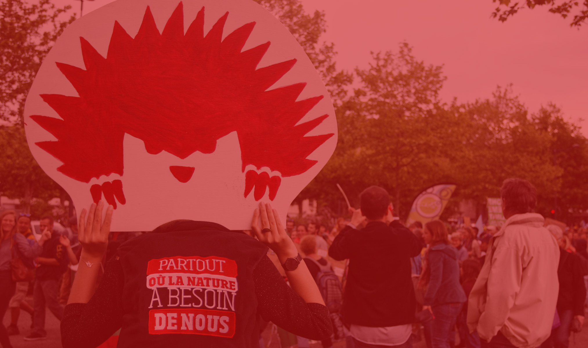 Crédit : Laurent Théophile herisson_terrain