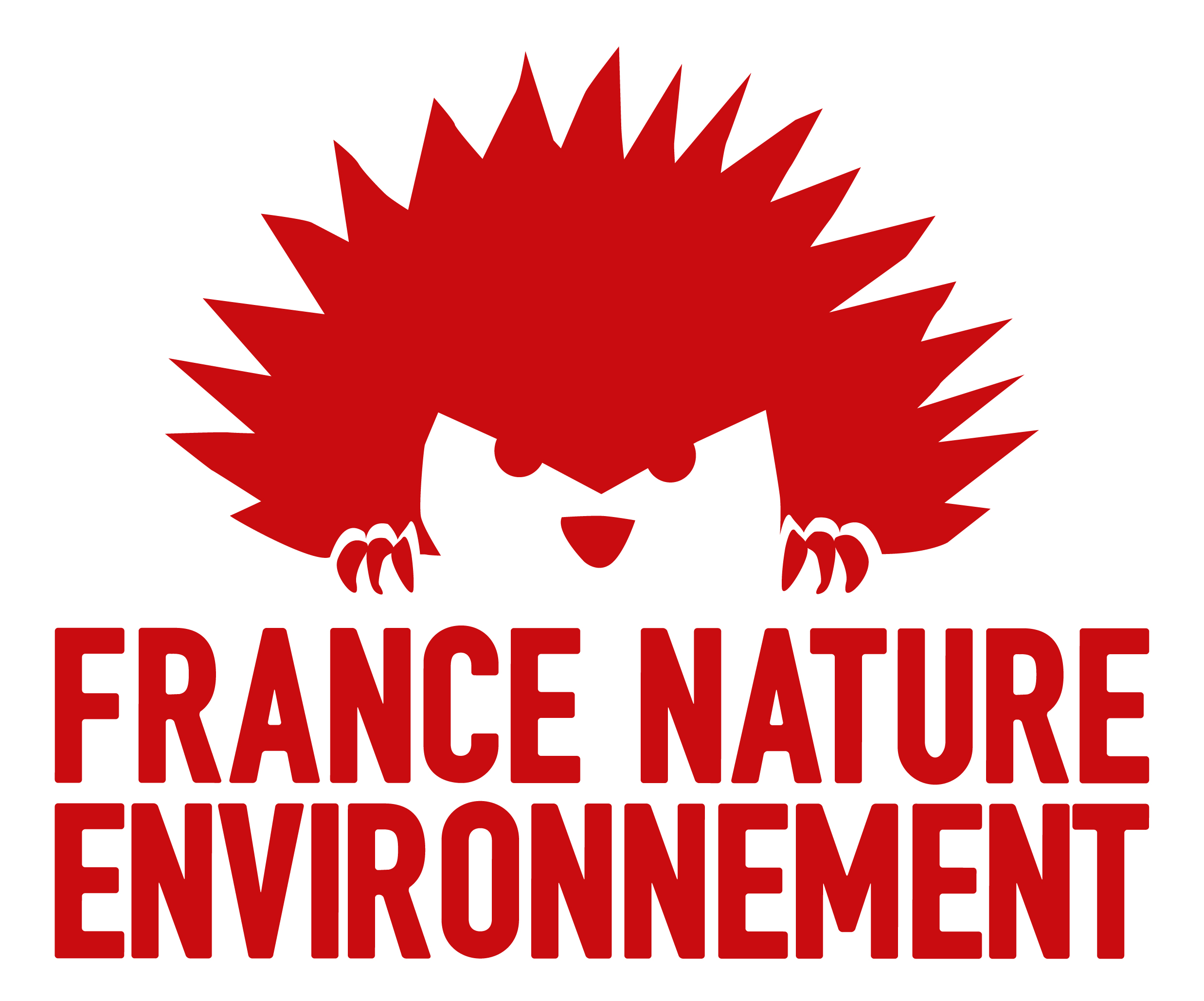 logo FNE
