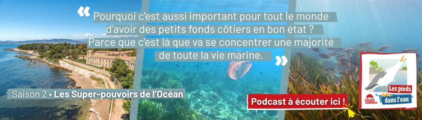 Cliquez ici pour écouter le podcast