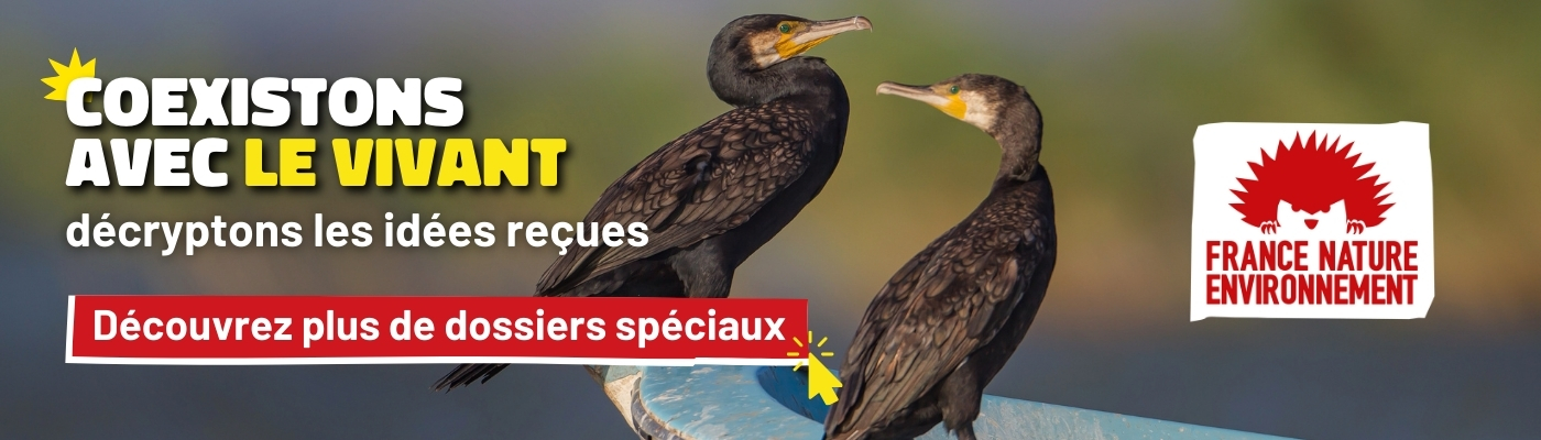 Pour plus de dossiers de décryptage d'idées reçues, cliquez ici