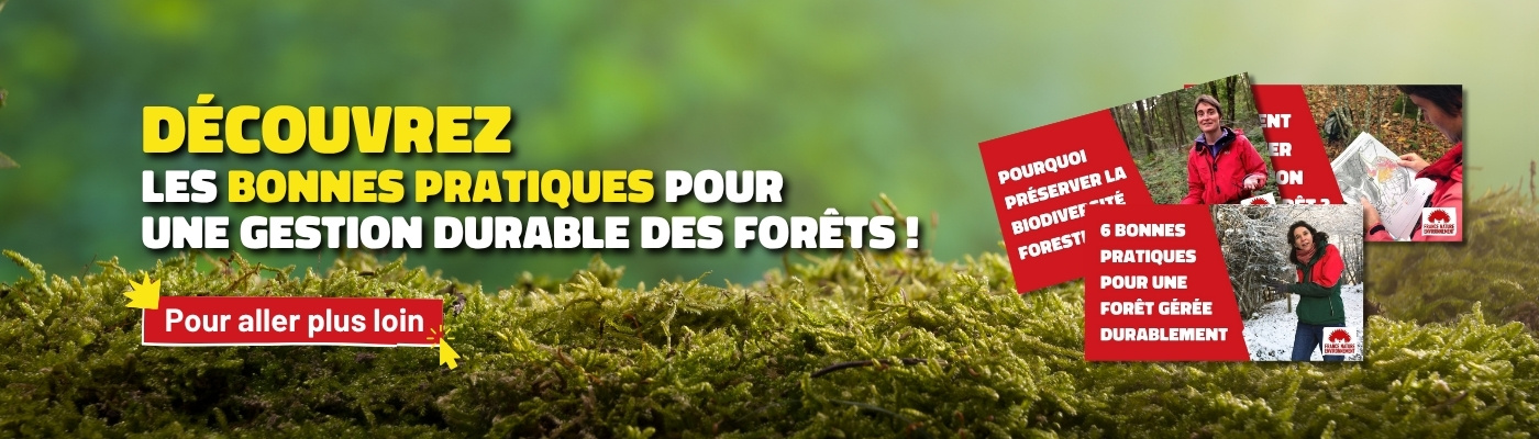 Cliquez ici pour découvrir les bonnes pratiques de gestion durable des forêts