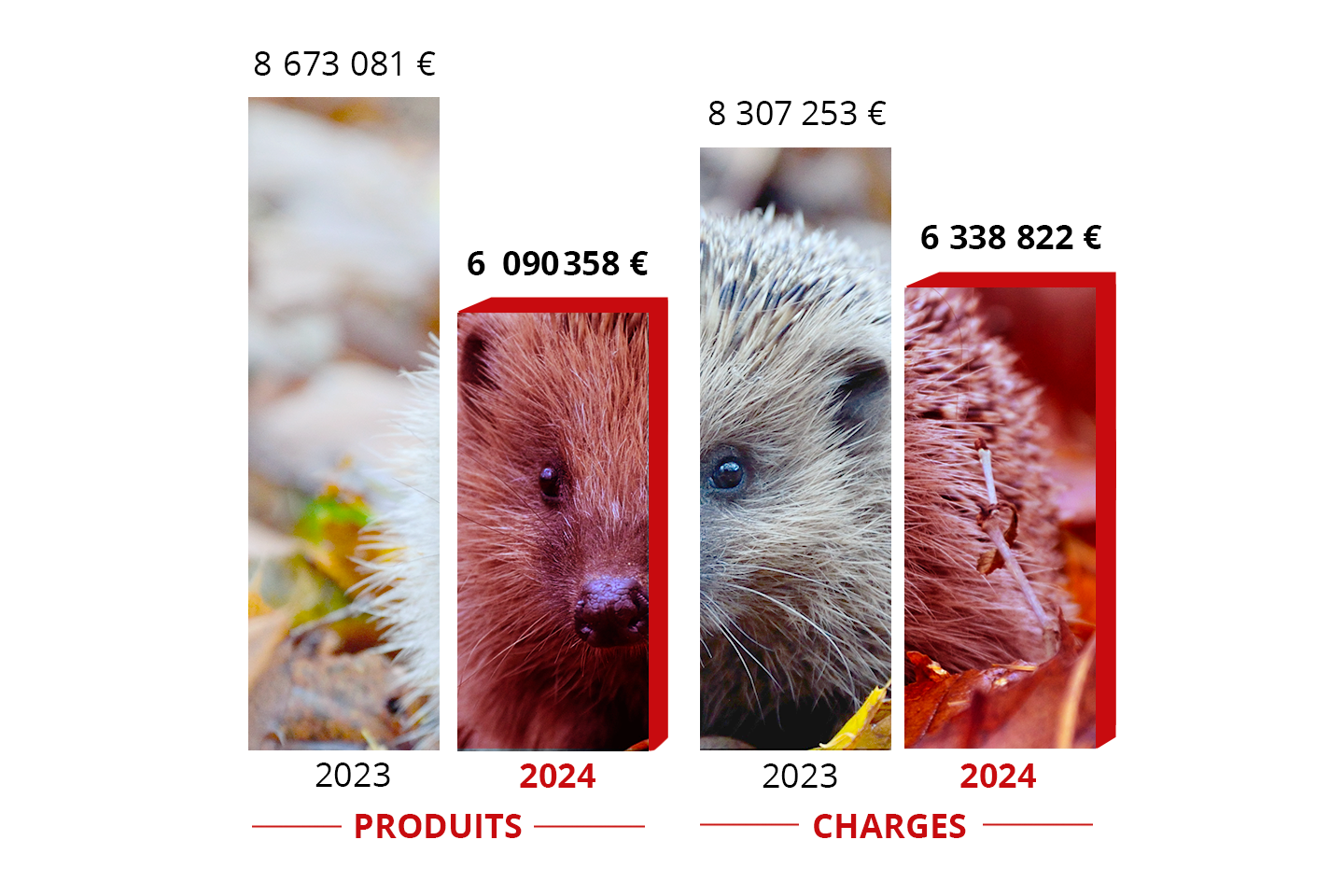 Comparatif des charges et produits 2024 de FNE