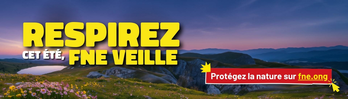Cliquez ici pour nous aider à agir contre la pollution de l'air