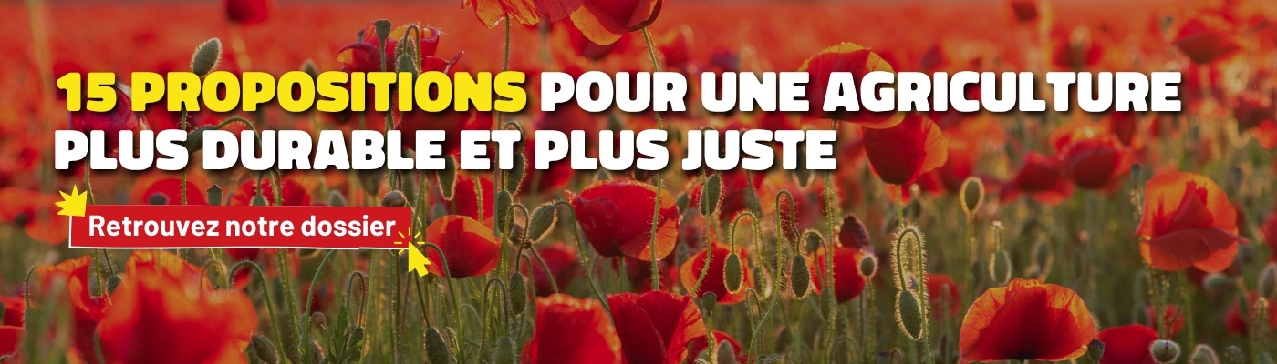 Découvrez nos 15 proposition pour une agriculture plus juste et plus durable en cliquant ici