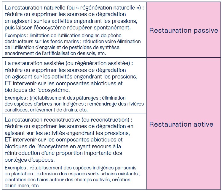 Tableau détaillant les différents types de restaureation de la nature à retrouver dans l'Avis du CESE