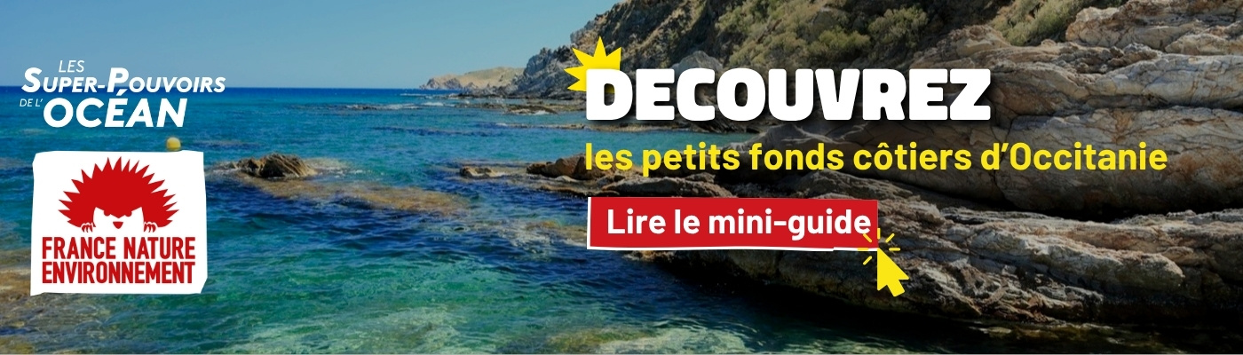 Lire le mini-guide en cliquant ici