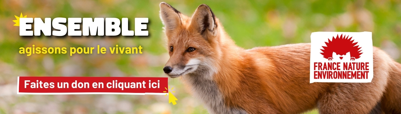 Renard avec message : Pour faire nous aider à agir pour le vivant, faites un don en cliquant ici