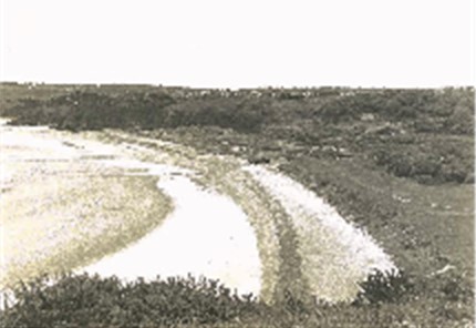 Photo Vivarmor - dune de Bon-Abri 1980