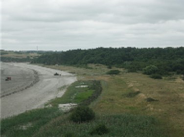 Photo Vivarmor - dune de Bon-Abri 2024