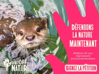 Signez la pétition pour défendre la nature et mettre fin aux régressions environnementales