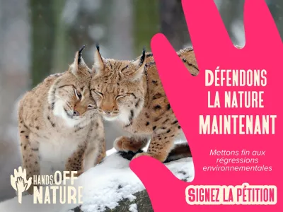 Signez la pétition pour défendre la nature et mettre fin aux régressions environnementales