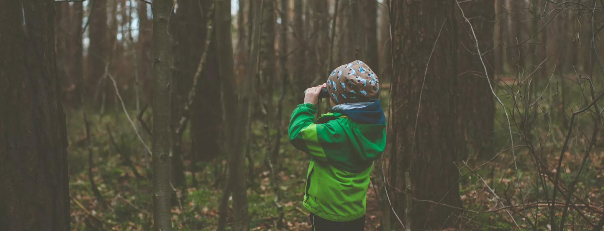Crédit : Markus Spiske - Unsplash sentinelles_v2