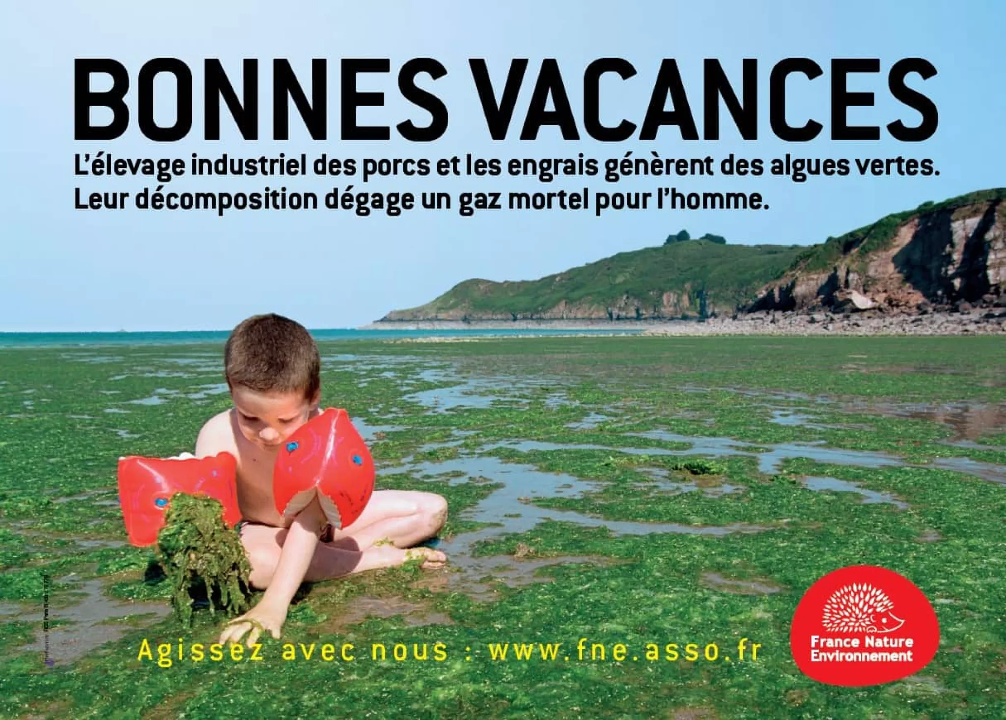 affiche campagne fne algues vertes bonnes vacances