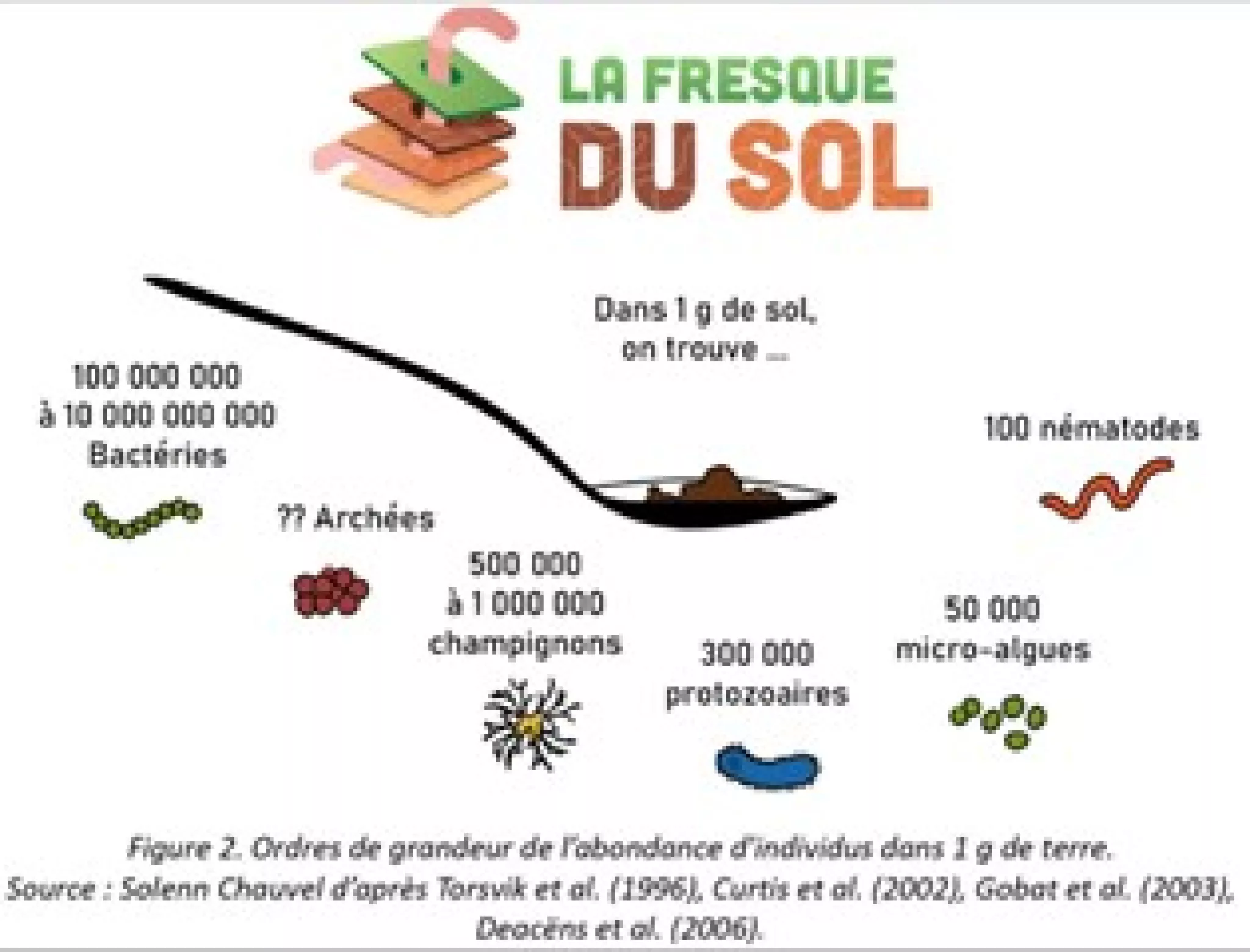 biodiversité_sols