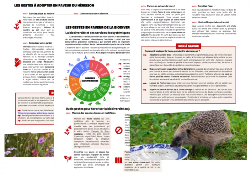 Fiche Mémo - Parler du hérisson
