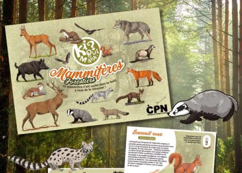 Kiquimank ? "Mammifères"