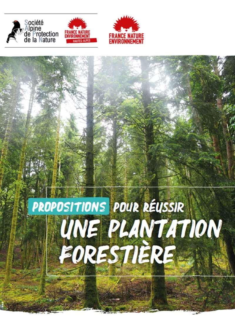 couverture plantation forestiere