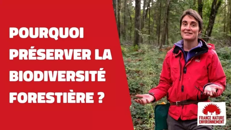Pourquoi préserver la biodiversité forestière