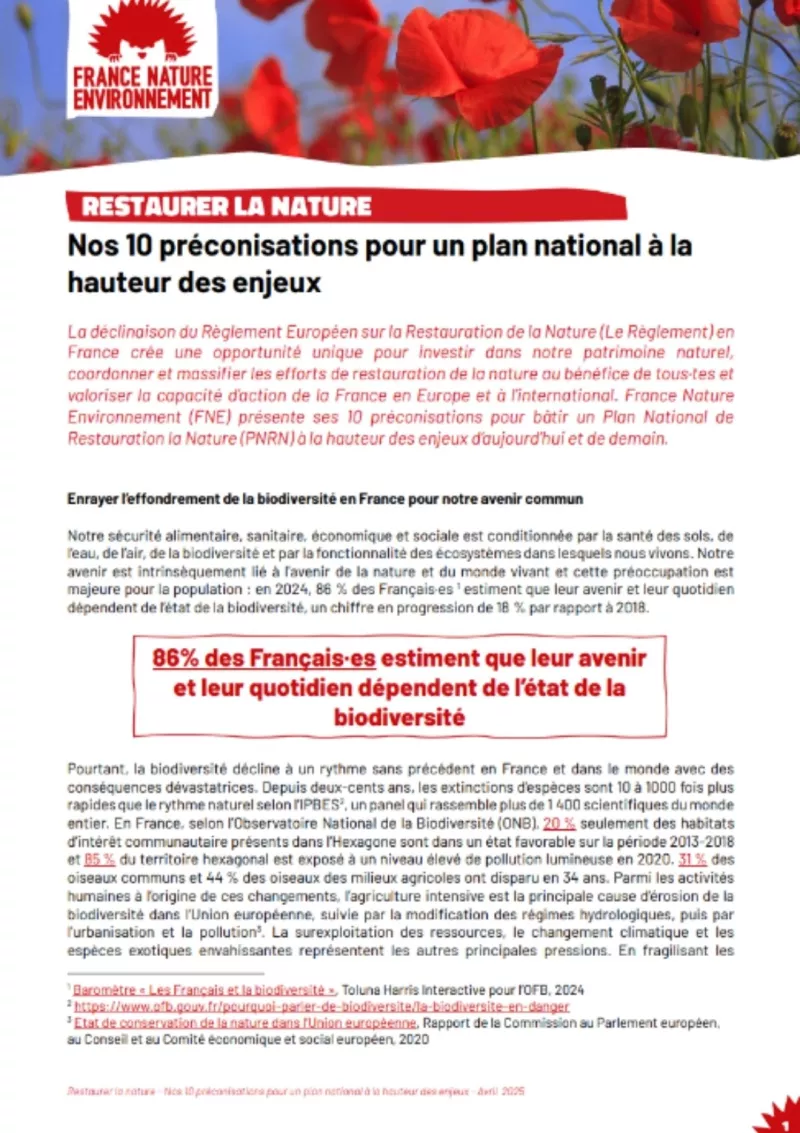 Aperçu nos 10 préconisations